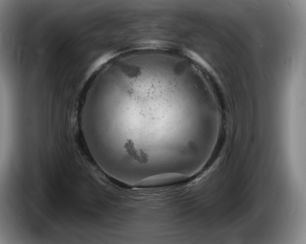 X0000085301259200703091424