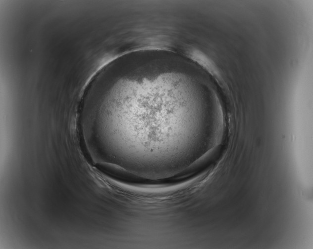 X0000085301260200703091424