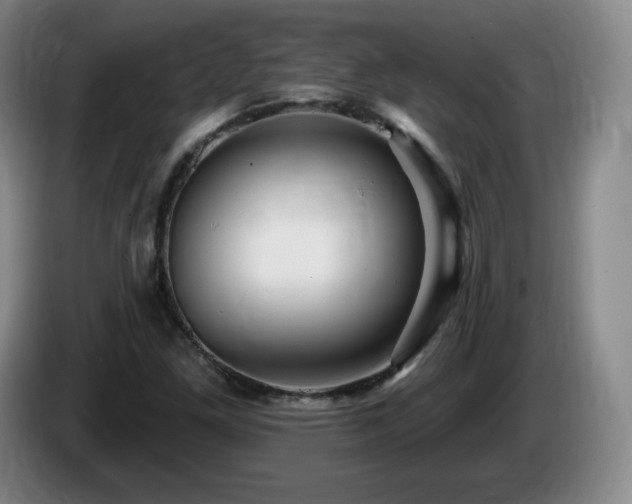 X0000085301261200703091424