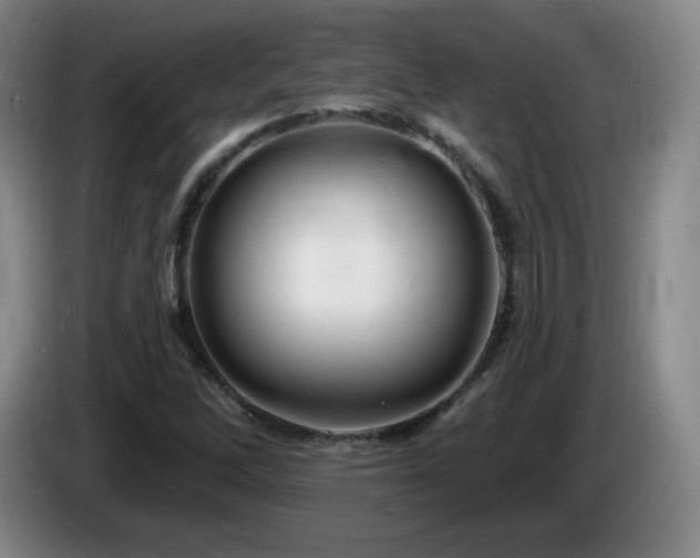 X0000085301262200703091424