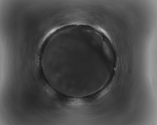 X0000085301263200703091424