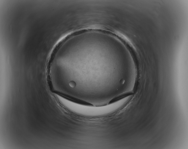 X0000085301264200703091424