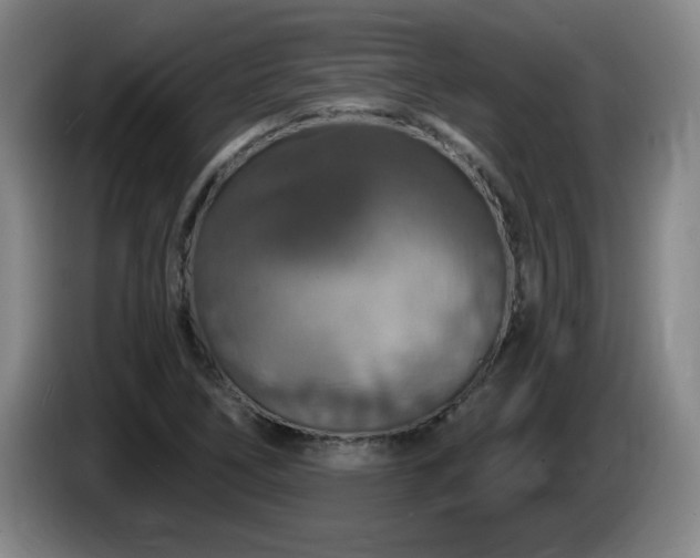 X0000085301266200703091424