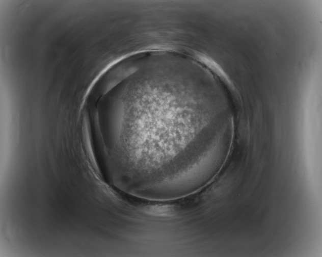 X0000085301268200703091424