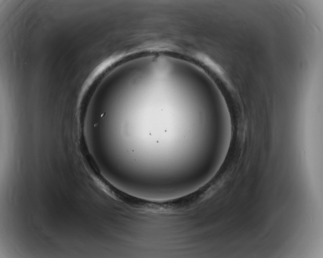 X0000085301270200703091424