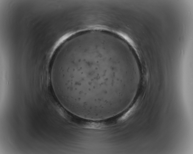 X0000085301271200703091424