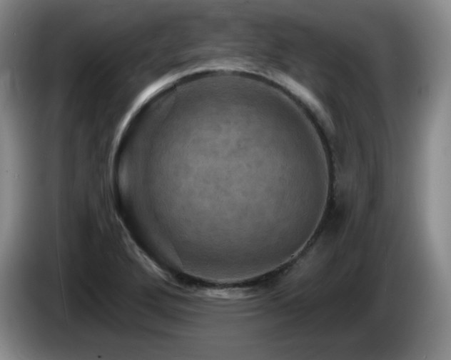 X0000085301272200703091424