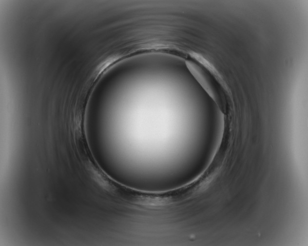 X0000085301273200703091424