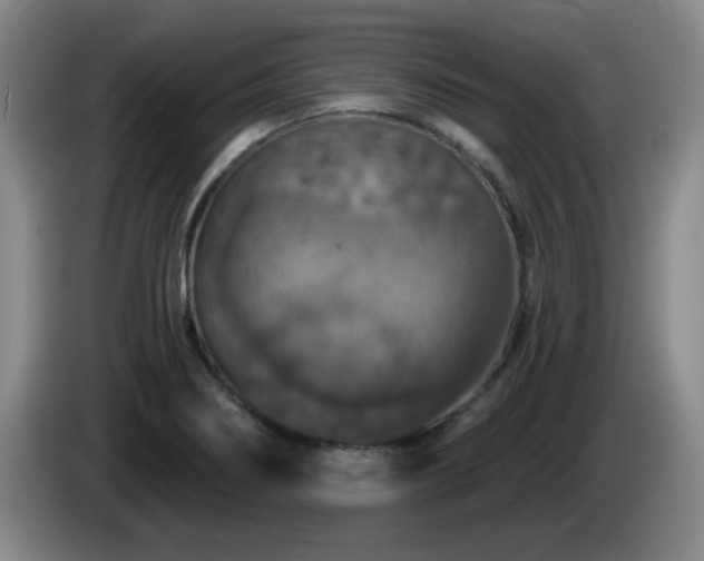 X0000085301274200703091424