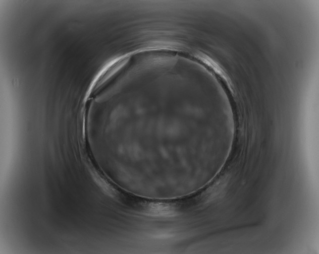 X0000085301275200703091424