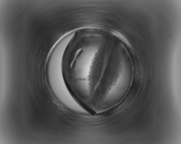 X0000085301276200703091424