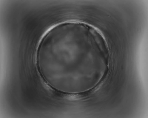 X0000085301279200703091424