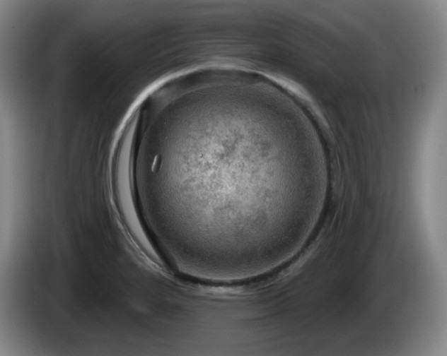 X0000085301280200703091424