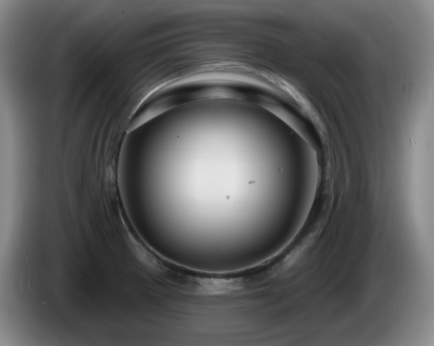 X0000085301281200703091424