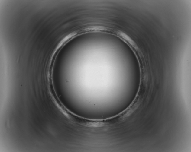 X0000085301282200703091424