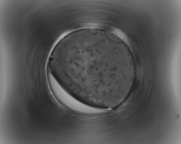 X0000085301283200703091424