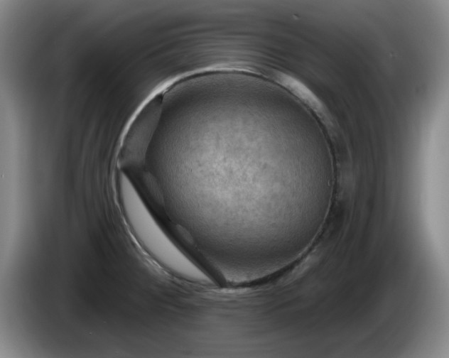 X0000085301284200703091424