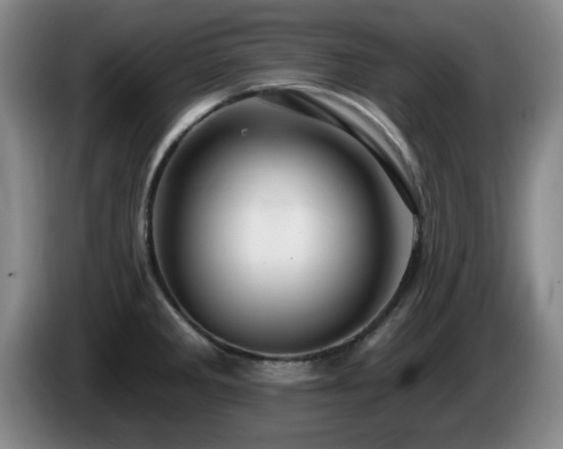 X0000085301285200703091424