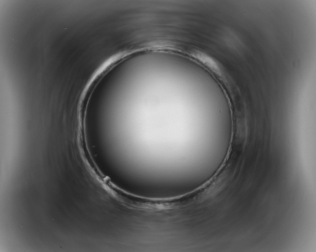 X0000085301286200703091424