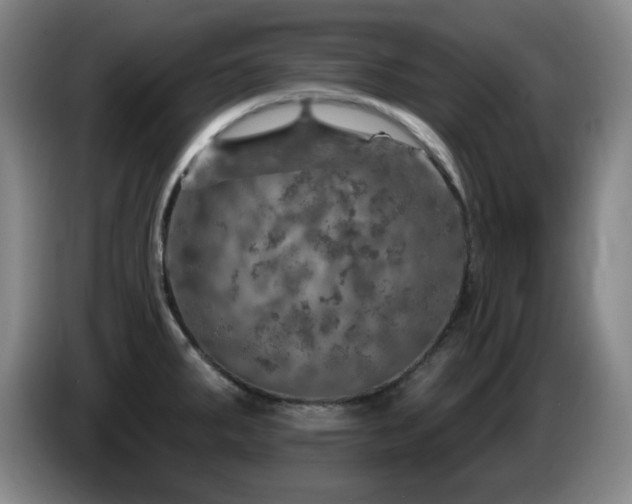 X0000085301287200703091424