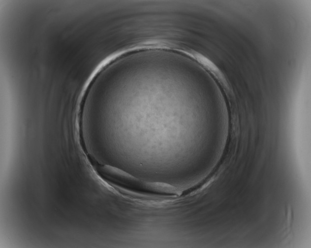 X0000085301288200703091424