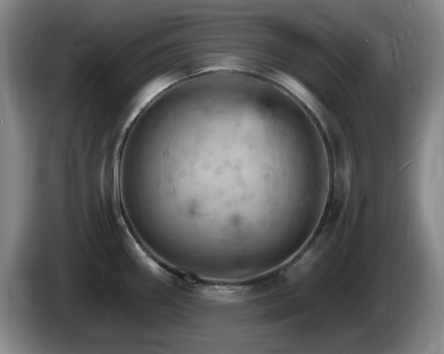 X0000085301290200703091424