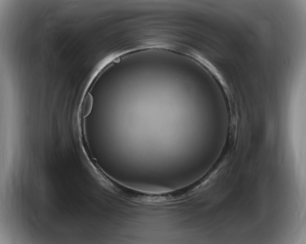 X0000085301291200703091424