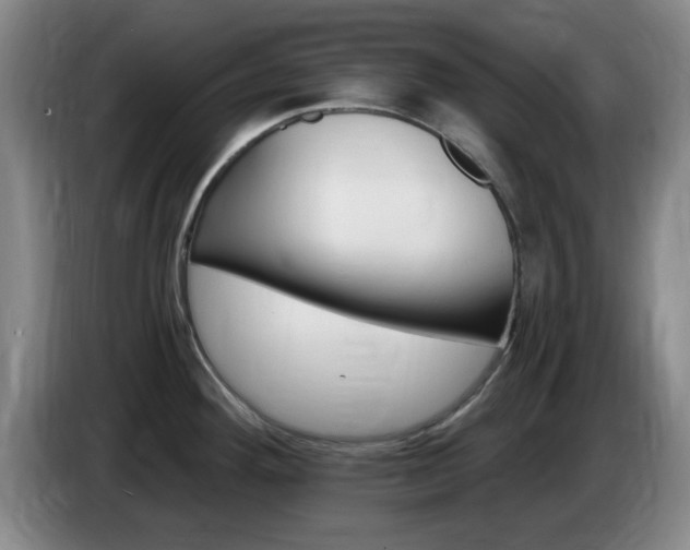 X0000085301292200703091424