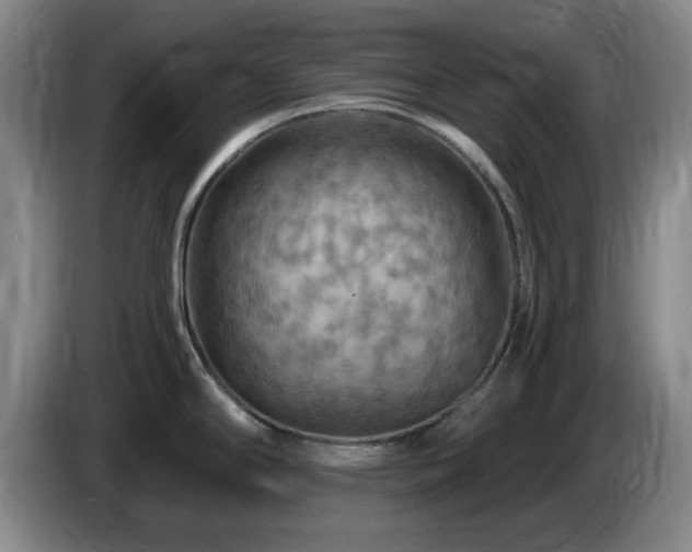 X0000085301294200703091424