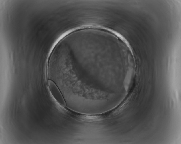 X0000085301295200703091424