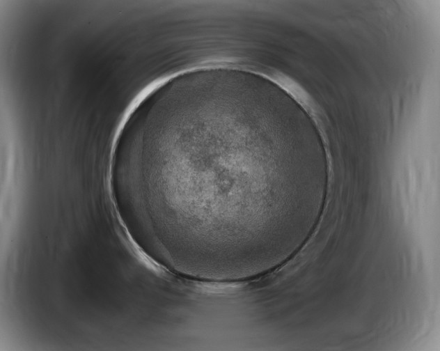 X0000085301296200703091424