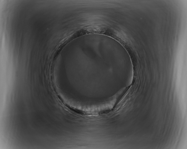 X0000085301297200703091423