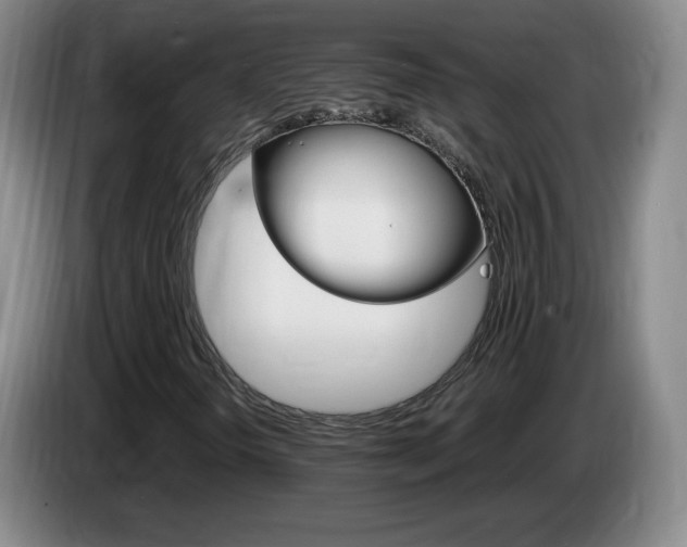 X0000085301298200703091423