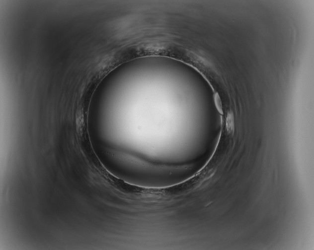 X0000085301299200703091423