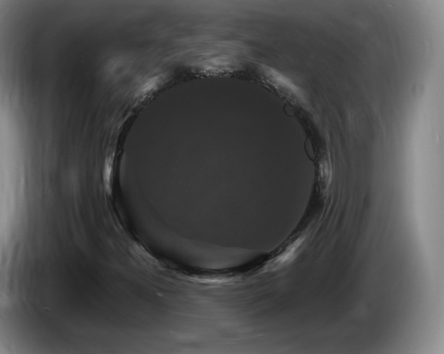 X0000085301300200703091423