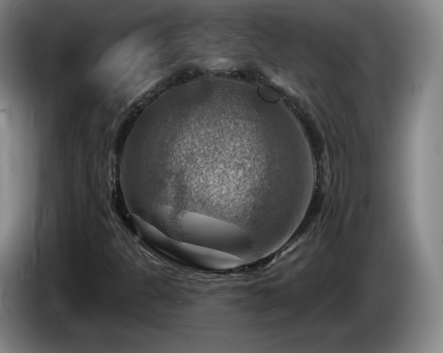 X0000085301301200703091423