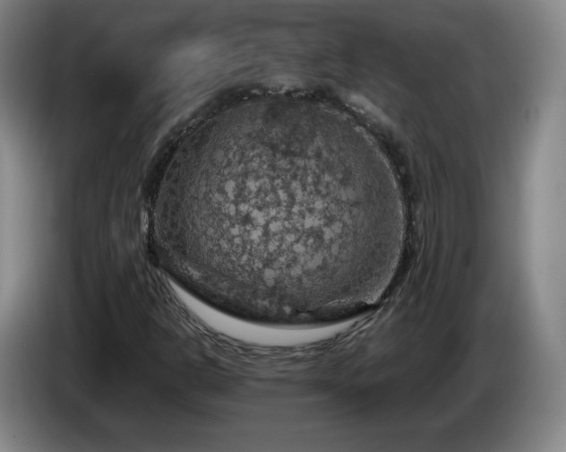 X0000085301302200703091423