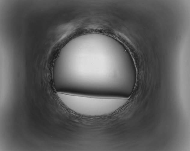 X0000085301303200703091423