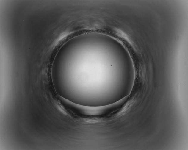 X0000085301304200703091423