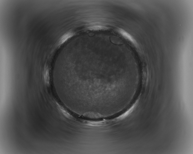 X0000085301305200703091423