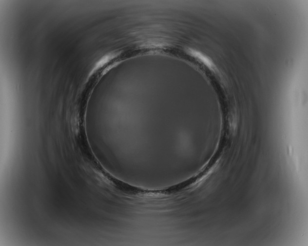 X0000085301306200703091423