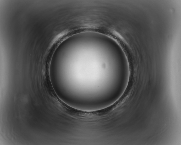 X0000085301307200703091423