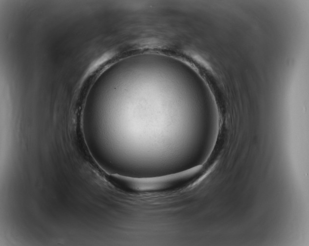 X0000085301309200703091423