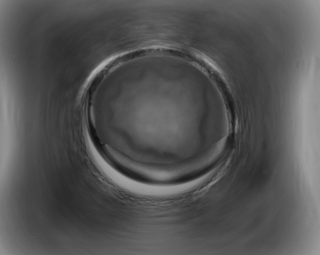 X0000085301310200703091423