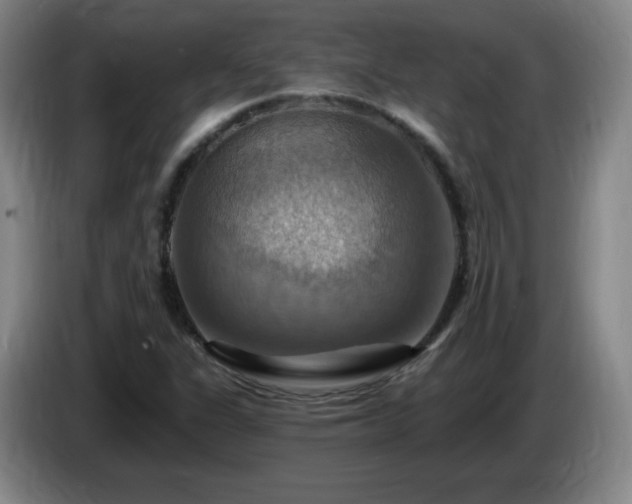 X0000085301311200703091423