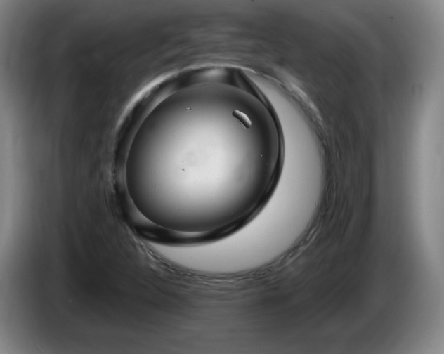 X0000085301312200703091423