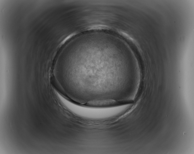 X0000085301313200703091423