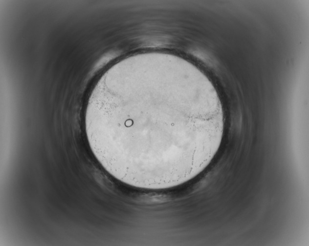 X0000085301314200703091423