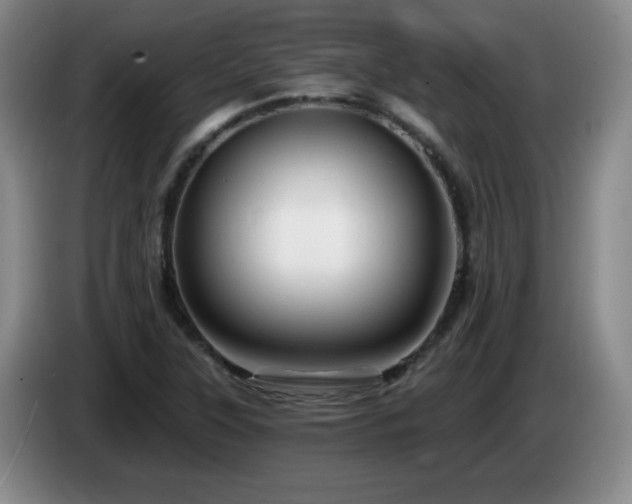 X0000085301315200703091423