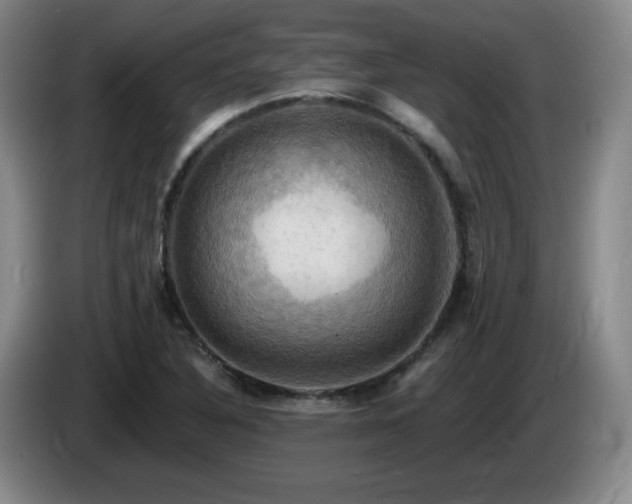 X0000085301316200703091423